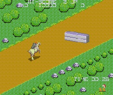 Gladiator 1984 (Hrací automaty)