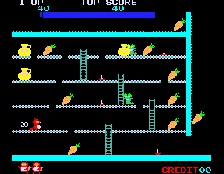 Ponpoko (Hrací automaty)