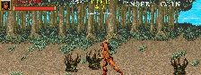 Warrior Blade - Rastan Saga Episode III (Hrací automaty)