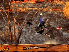 Turkey Hunting USA (Hrací automaty)