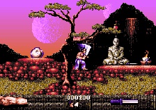 First Samurai (Amiga)