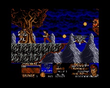 Risky Woods (Amiga)