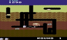 Dig Dug (Commodore 64)