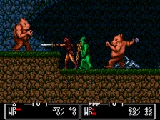 Cadash (Megadrive)
