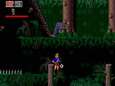 Hurricanes (Megadrive)