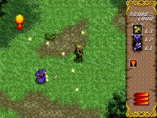 Twinkle Tale (Megadrive)