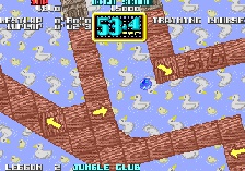 Cameltry (Hrací automaty)