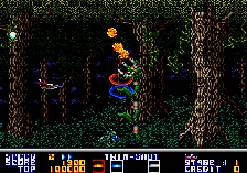 ThunderForce AC (Hrací automaty)