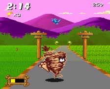 Taz-Mania (SNES)