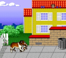 Beethoven's 2nd (SNES)