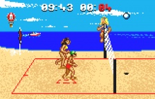 Malibu Bikini Volleyball (Lynx)