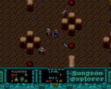 Dungeon Explorer (PC Engine)