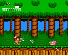 New Adventure Island (PC Engine)
