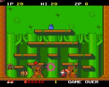 Don Doko Don! (PC Engine)