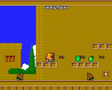 NewZealand Story (PC Engine)