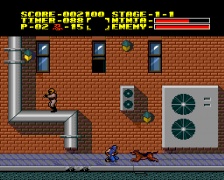 Ninja Ryuuken Den (PC Engine)