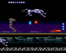 Tenseiryuu - Saint Dragon (PC Engine)