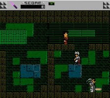 Adventures of Rad Gravity (NES)