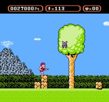 Amagon (NES)