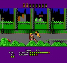 Bad Street Brawler (NES)