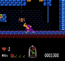 Beauty and the Beast (NES)