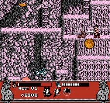 Conquest of the Crystal Palace (NES)