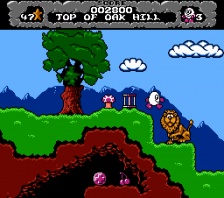Dizzy The Adventurer (NES)