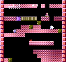 Duck Maze (NES)