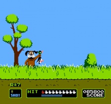 Duck Hunt (NES)