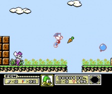Tiny Toon Adventures (NES)