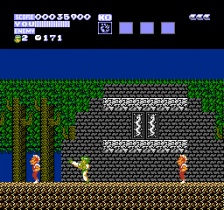 Flying Dragon - The Secret Scroll (NES)