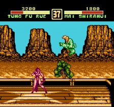 Garou Densetsu Special (NES)