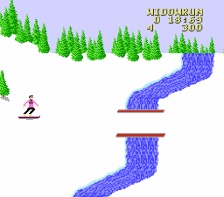 Heavy Shreddin' (NES)