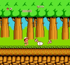 Hudson's Adventure Island (NES)