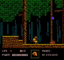 Journey to the West (NES)