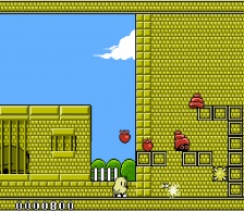 NewZealand Story (NES)
