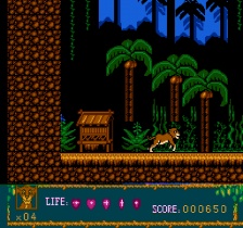 Lion King III - Simon and Pumba (NES)