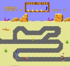 Road Runner (NES)