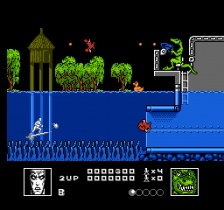 Silver Surfer (NES)