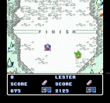 Ski or Die (NES)