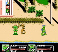 Teenage Mutant Ninja Turtles III - The Manhattan Project (NES)