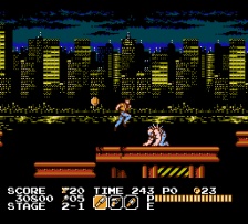 Vice - Project Doom (NES)