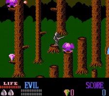 Wizards & Warriors (NES)