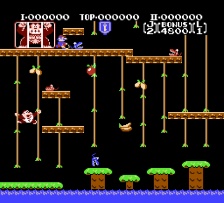 Donkey Kong Junior (NES)