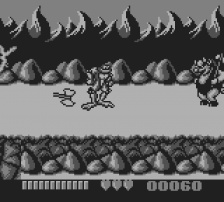 Battletoads (Game Boy)