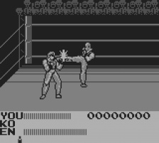 Fighting Simulator 2in1 - Flying Warriors (Game Boy)