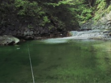 Reel Fishing: Wild (Dreamcast)