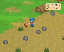 Harvest Moon: Back to Nature (PSX)