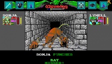 Wizardry VI: Bane of the Cosmic Forge (Amiga)