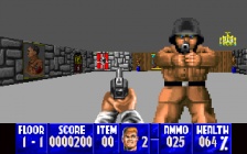 Wolfenstein 3D (3DO)